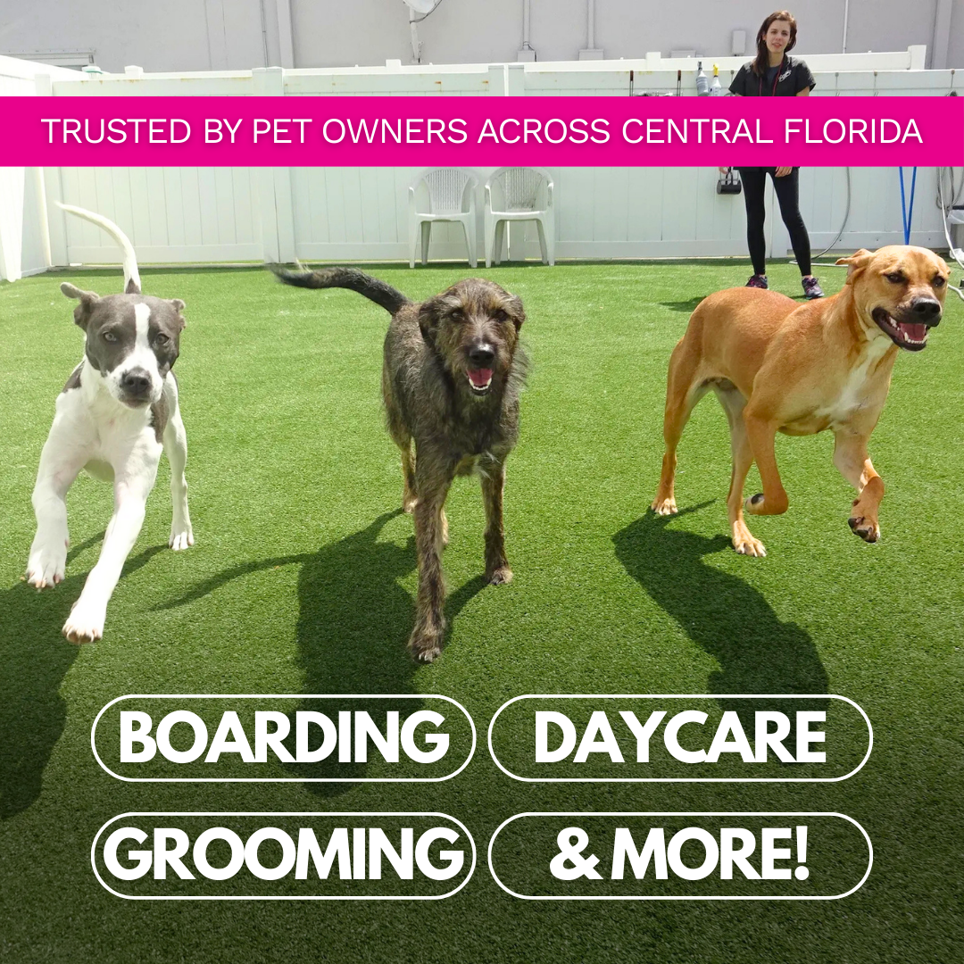 The Parc Pet Suites, Sports & Spa GoHighLevel Resellers ad creative