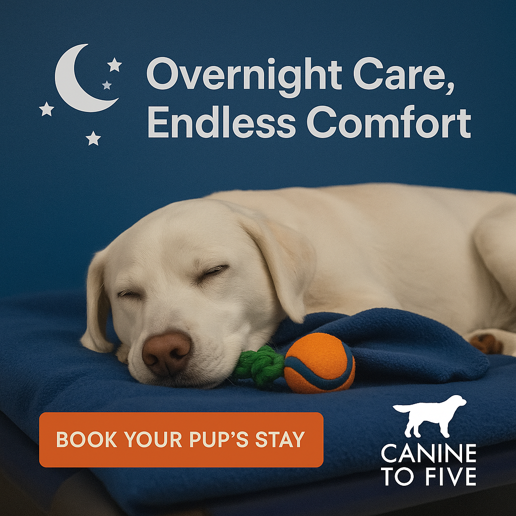 Detroit's #1 Boarding Facility