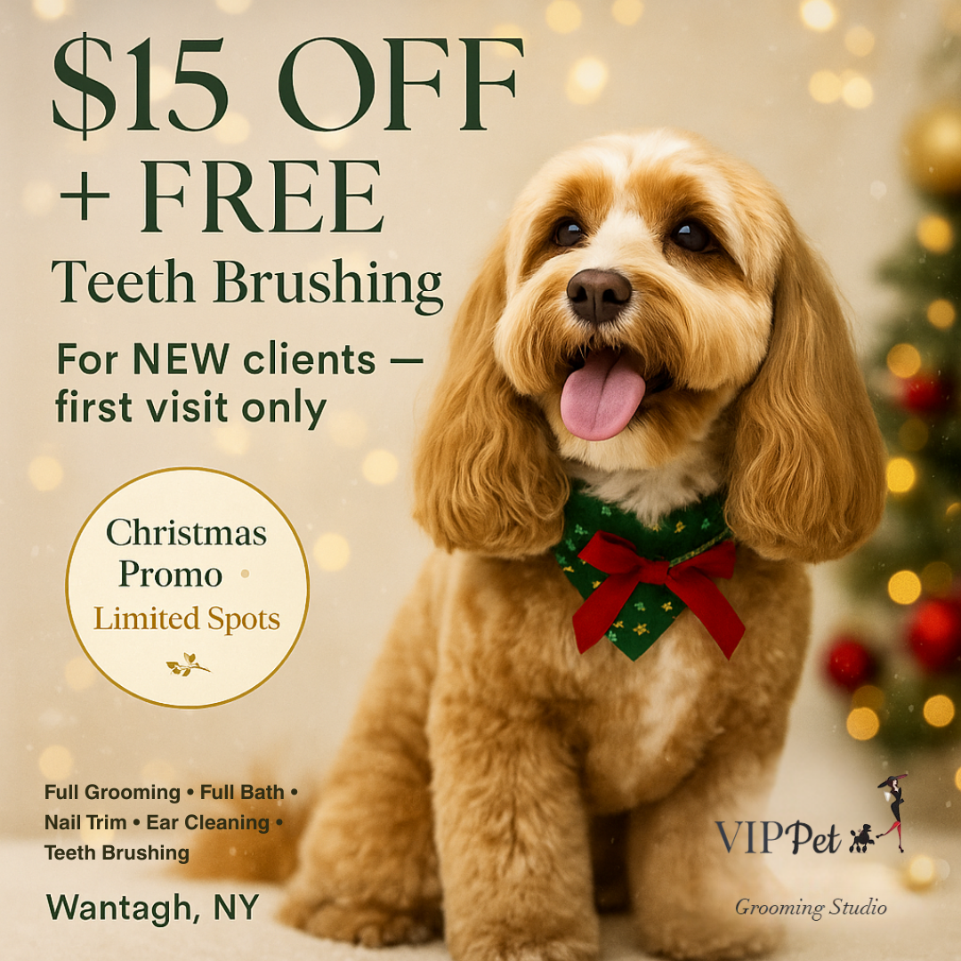 🐾 $15 Off Your First Groom - VIP Treatment Awaits!