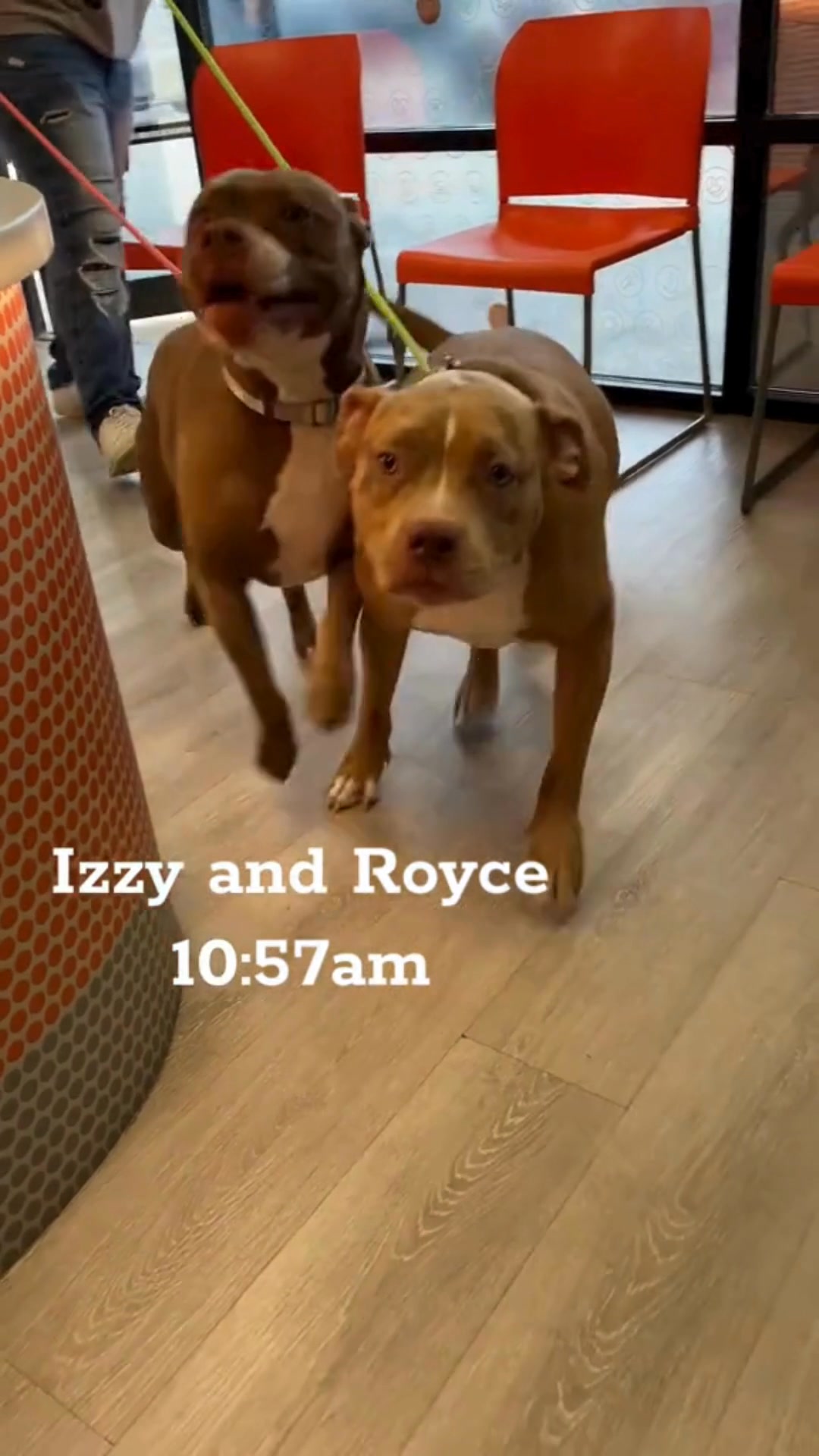 Every Day Is a Celebration