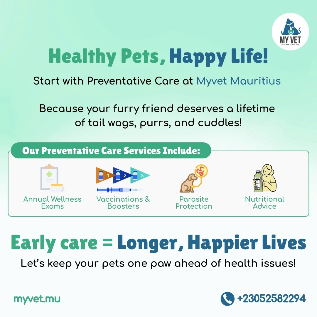 MYVET Veterinarian ad creative