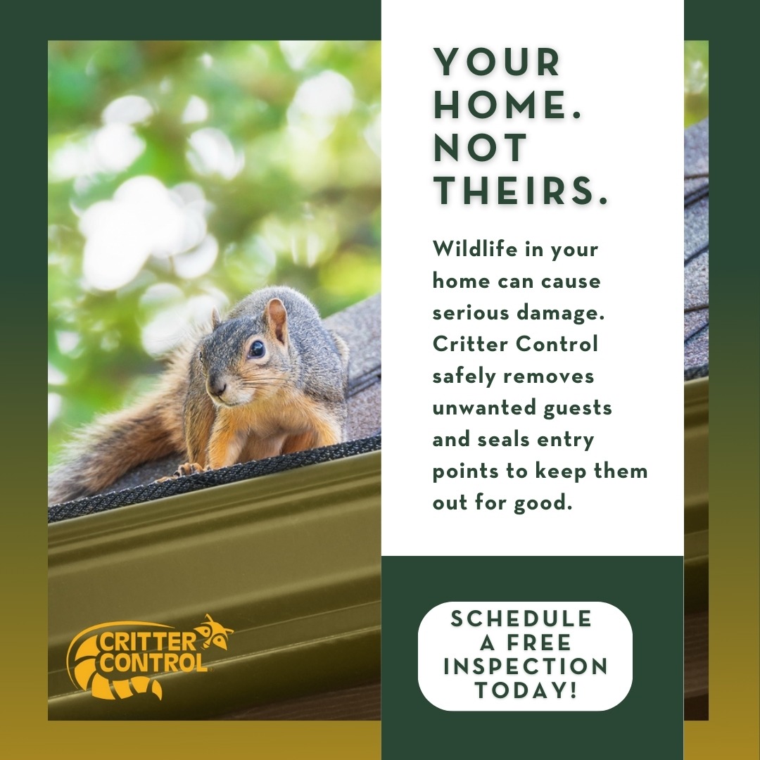 Trusted Wildlife Removal