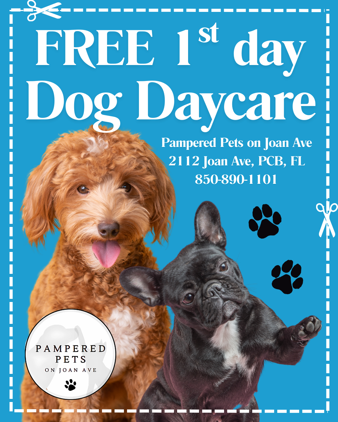 Pampered Pets on Joan Ave, LLC. Pet Boarding ad creative