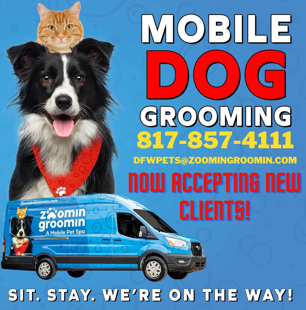 Zoomin Groomin - Greater Fort Worth, TX Pet Grooming ad creative