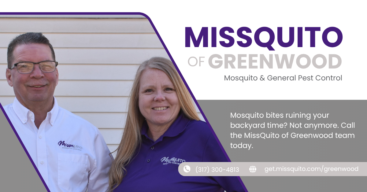 MissQuito Pest Control ad creative