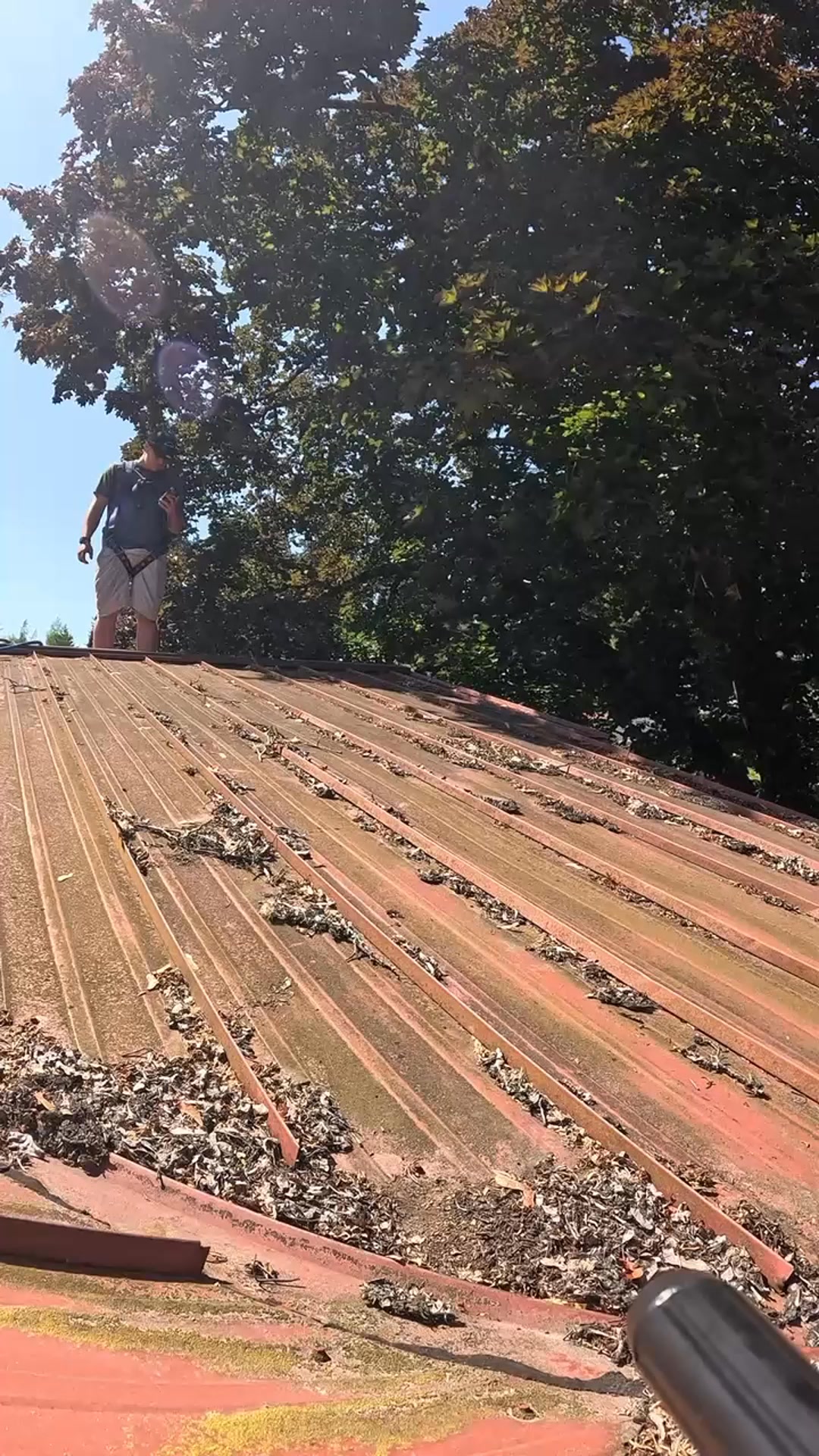 Act Fast: Get $100 Off Today!