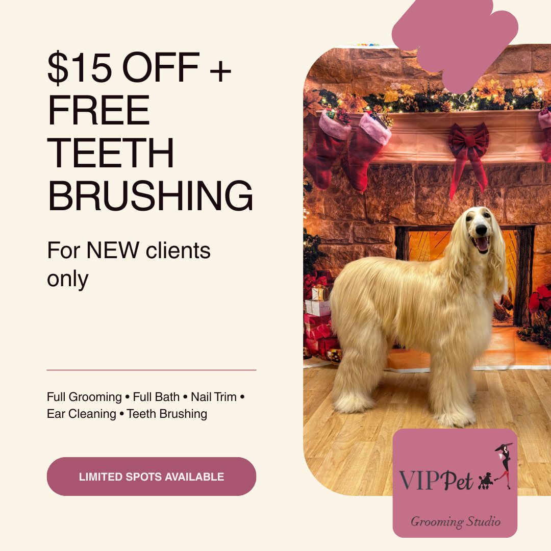 🐾 $15 Off Your First Groom - VIP Treatment Awaits!