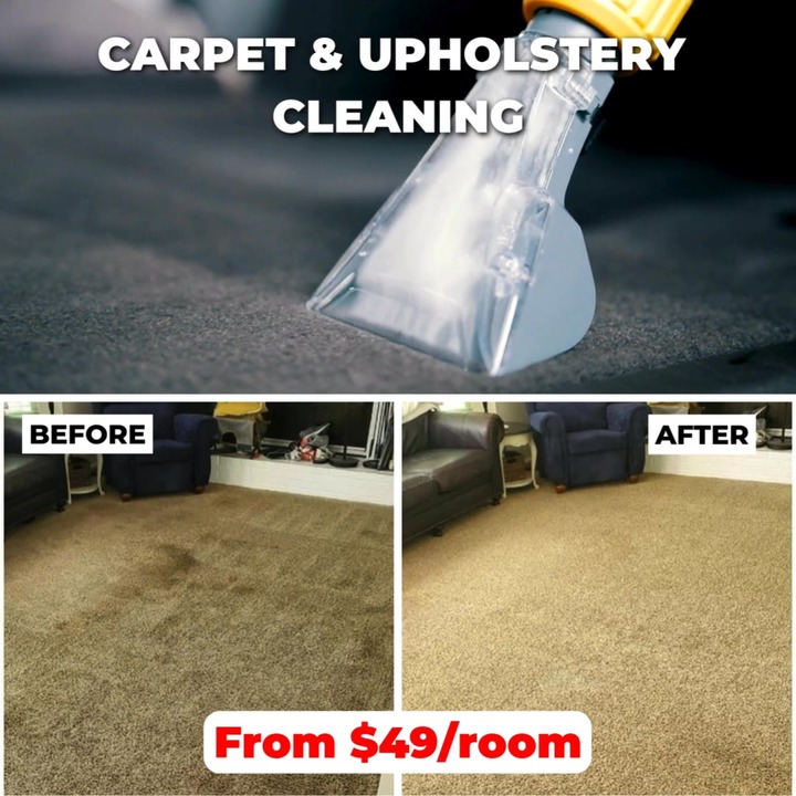 Carpet Cleaning: Starting at $49/room