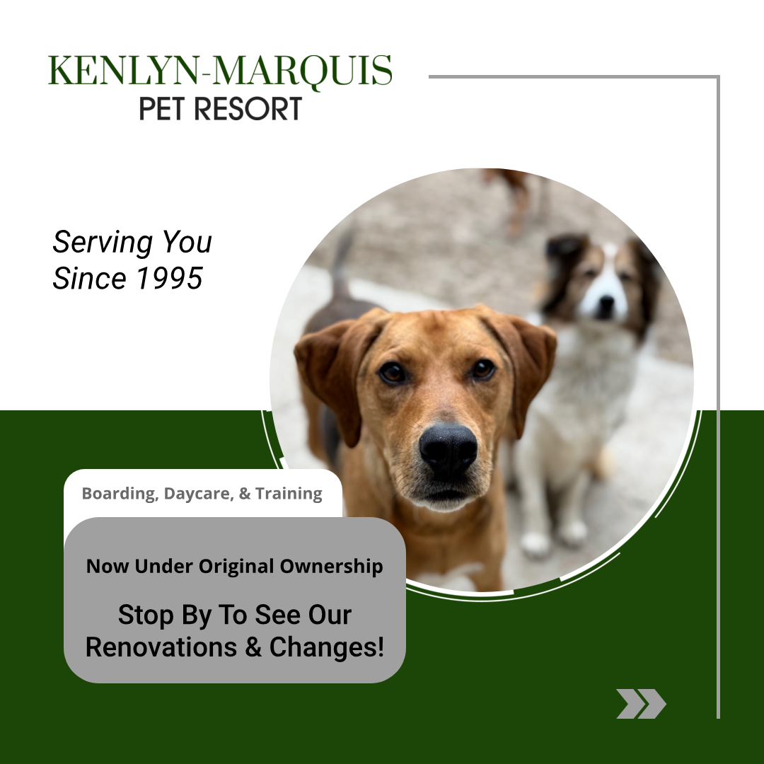 Now Under Original Ownership