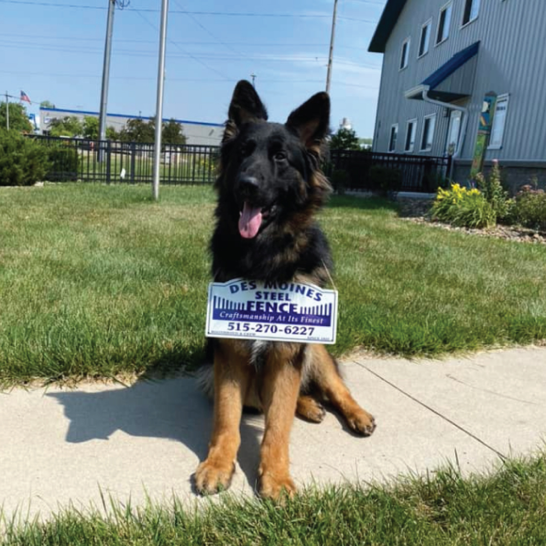 Des Moines Steel Fence Co, Inc