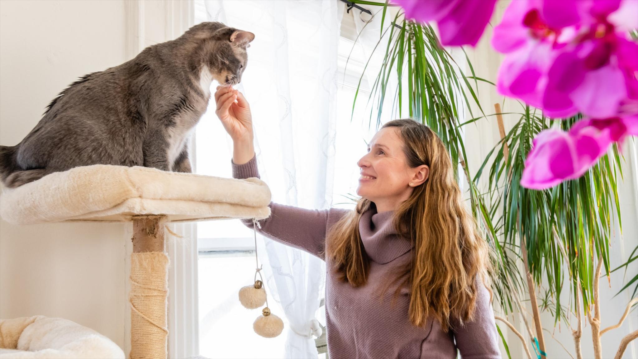 Exceptional Care For Extraordinary Cats