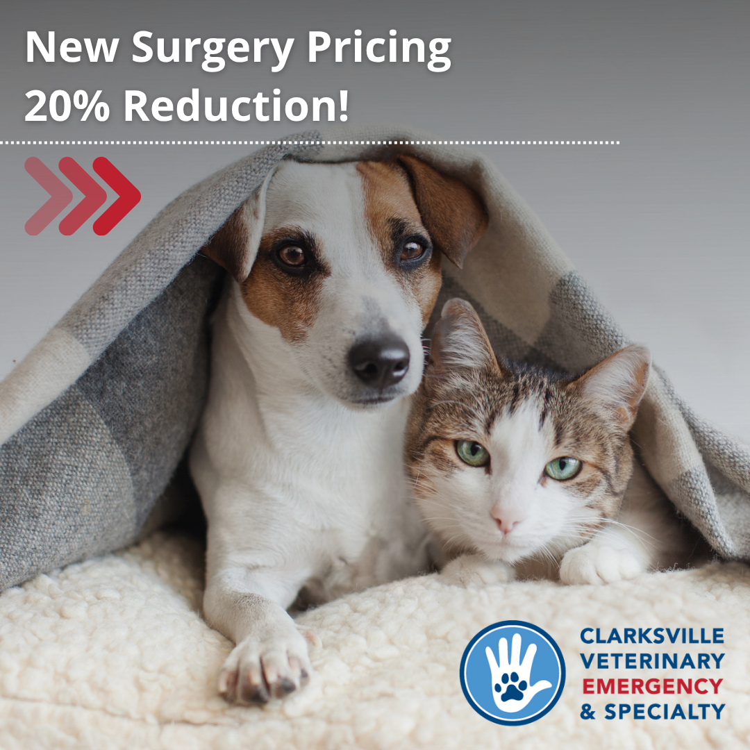 Clarksville Veterinary Emergency & Specialty
