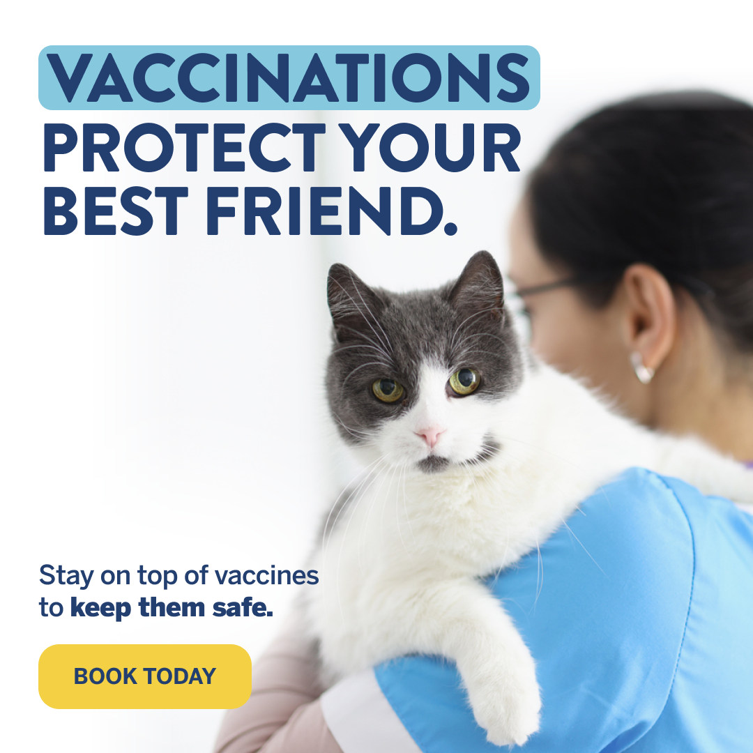 Is Your Pet Protected?