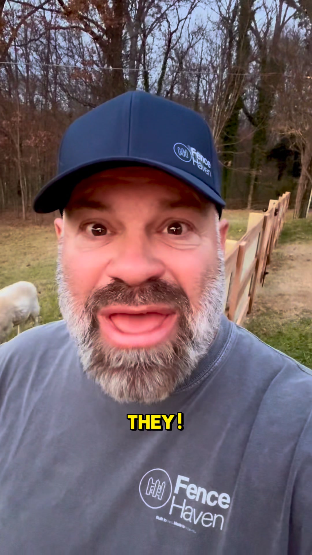 Trusted by Homeowners. Built by Experts.