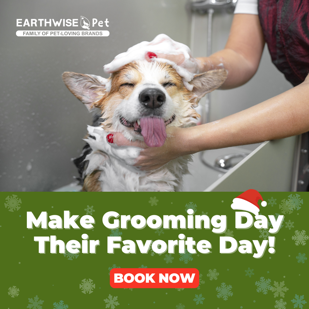 Earthwise Pet North Valley AZ Pet Grooming ad creative