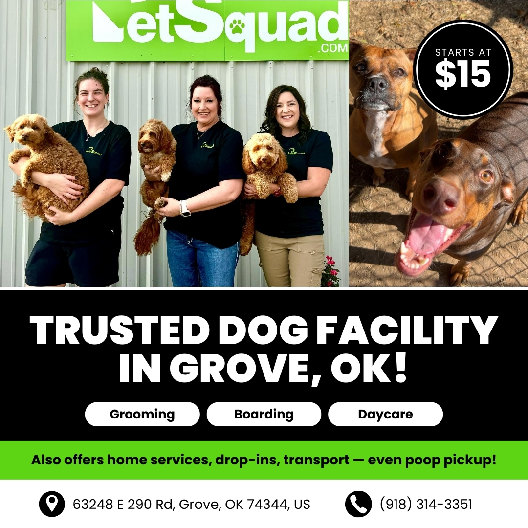 Today’s Pet Care Pick: PetSquad Grove