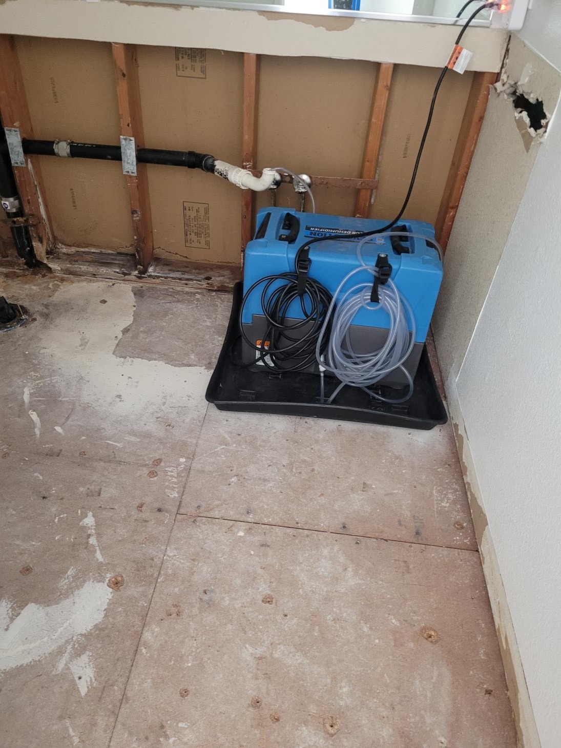 AF plus Restoration and Mitigation 