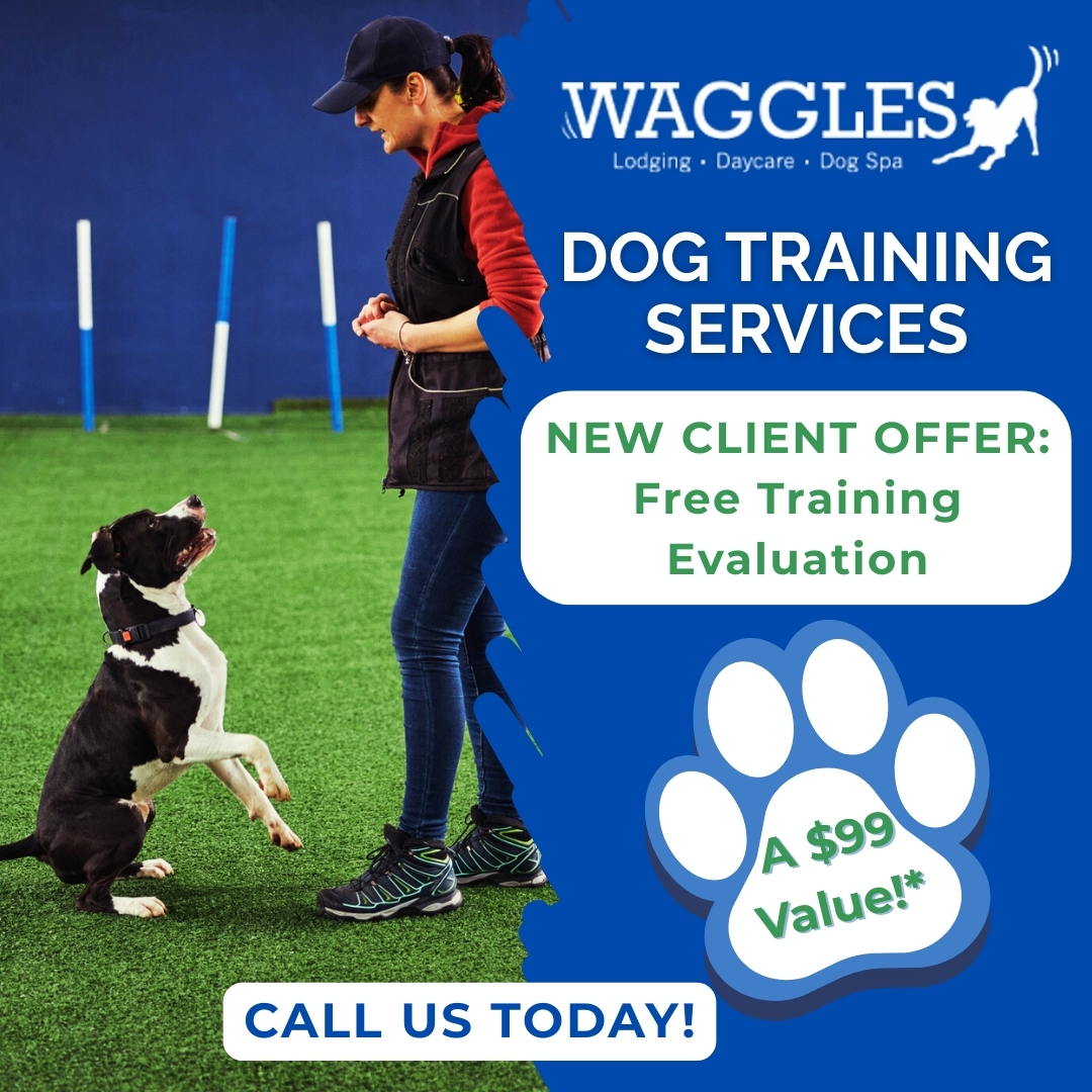 Waggles Pet Resort