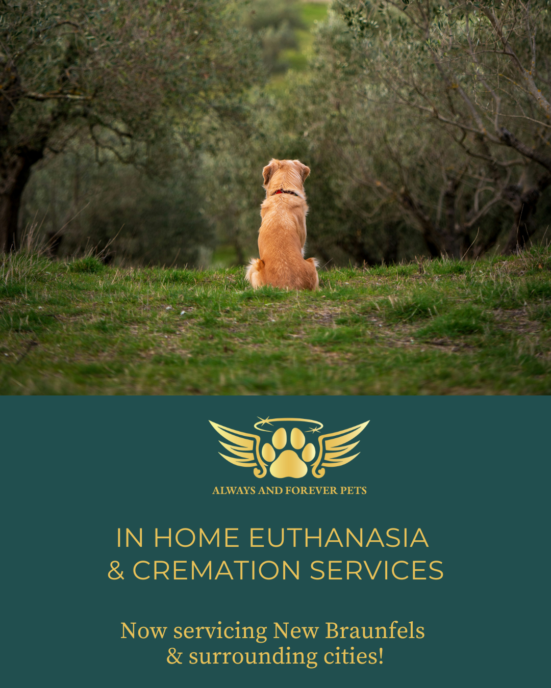 Servicing New Braunfels & surrounding cities