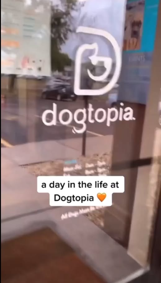 Every Day Is a Celebration