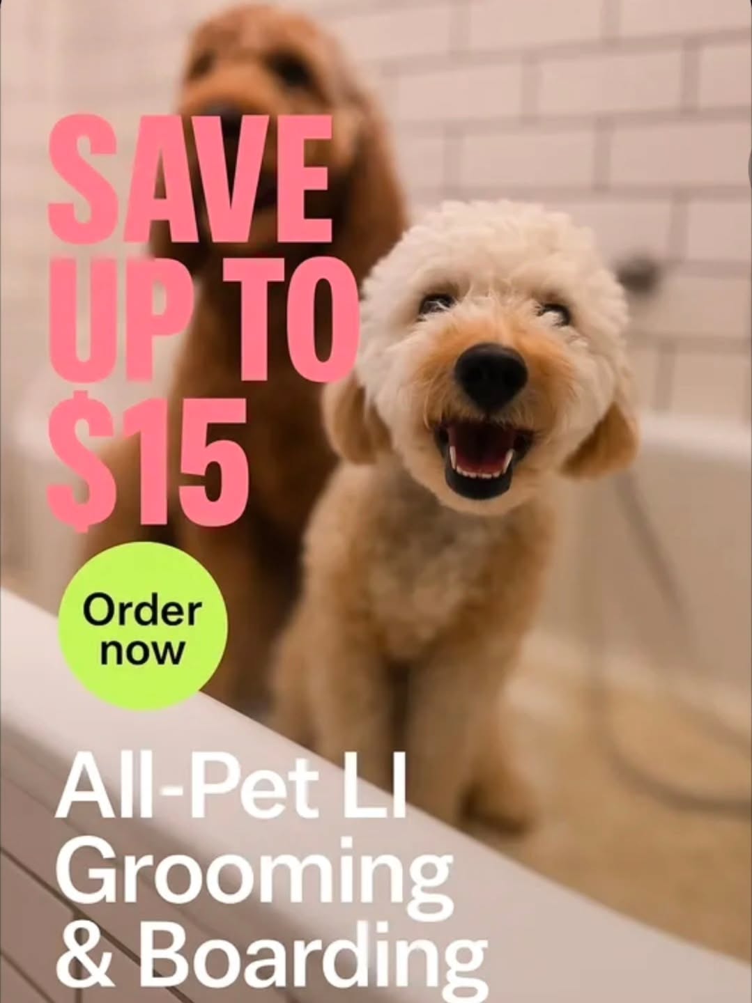 Full Service Groomery - Miller Place, NY - All-Pet Groomery