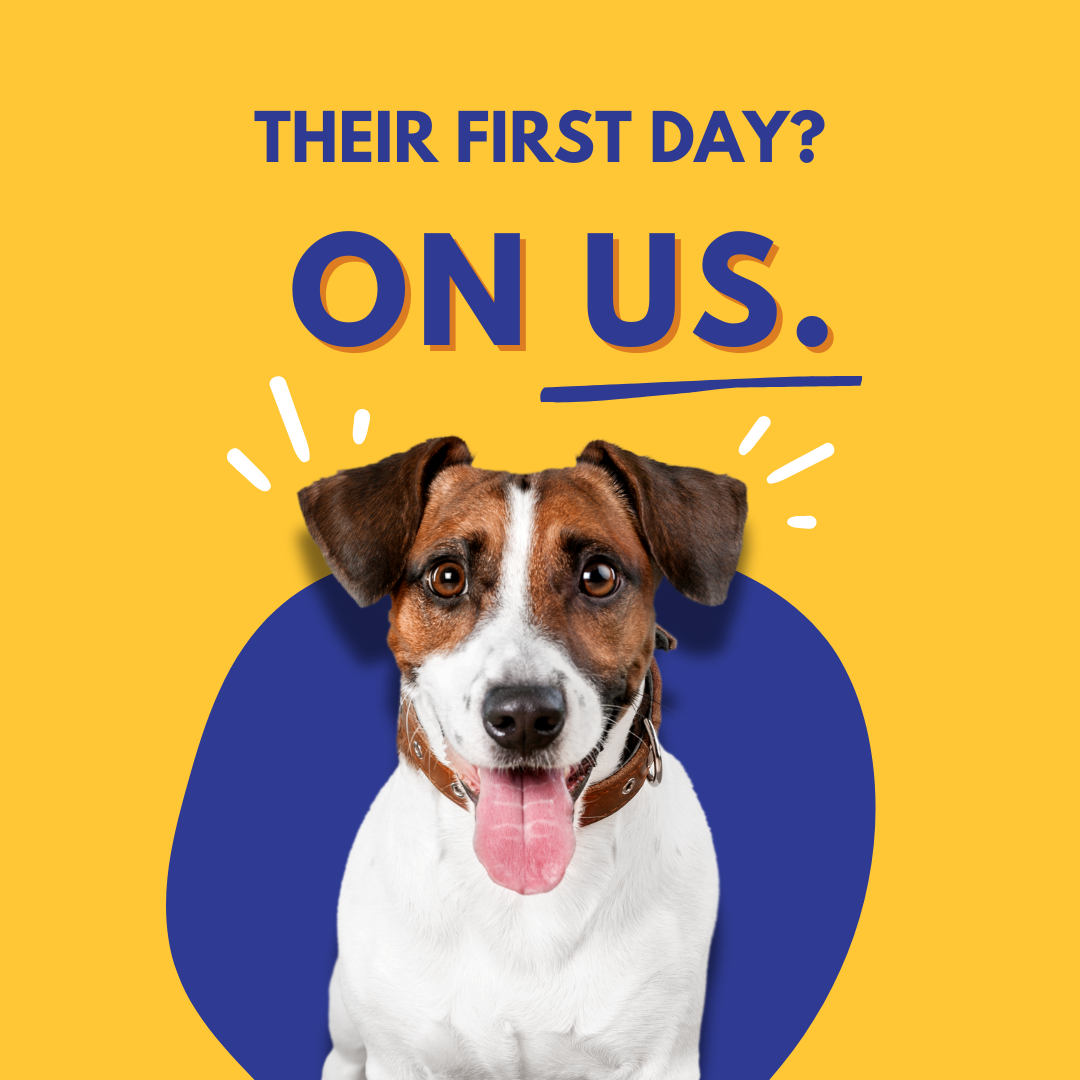 📞 Call to Book Their Free Day 🎉