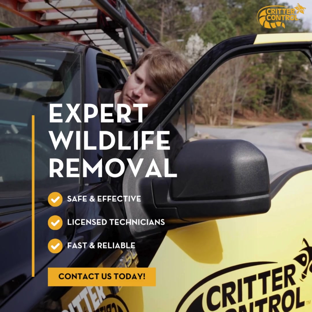 Trusted Wildlife Removal