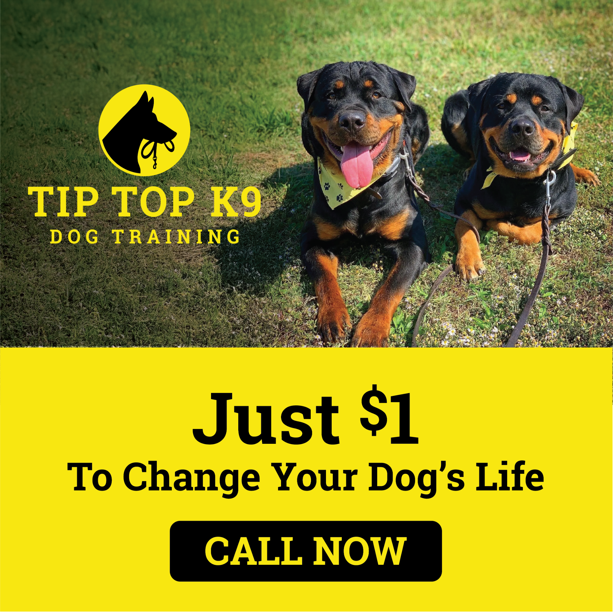 Say Goodbye to Bad Behavior!