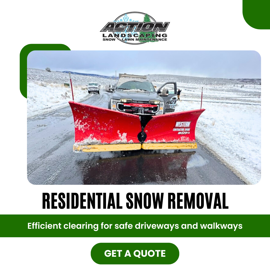 Snow Removal Services