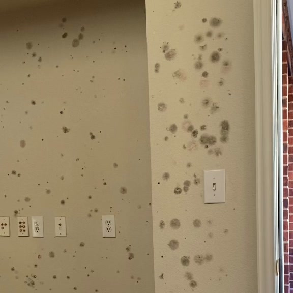 No More Clogged Gutters