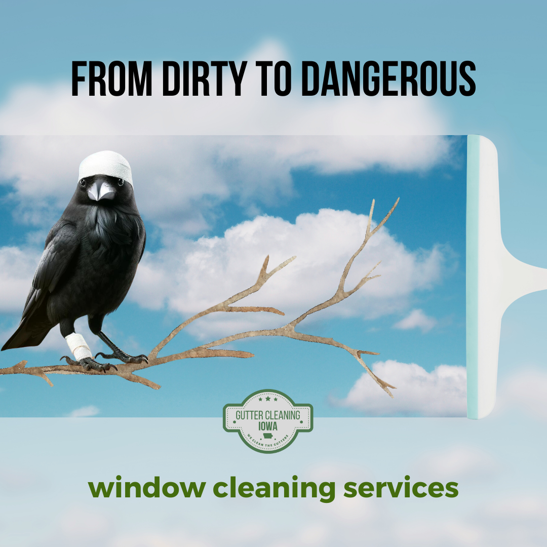 Professional Window Cleaning