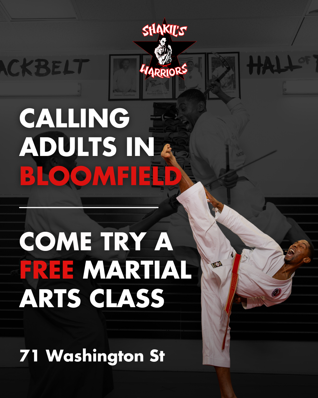 Shakil's School of Martial Arts Karate Organization, LLC Martial Arts ad creative