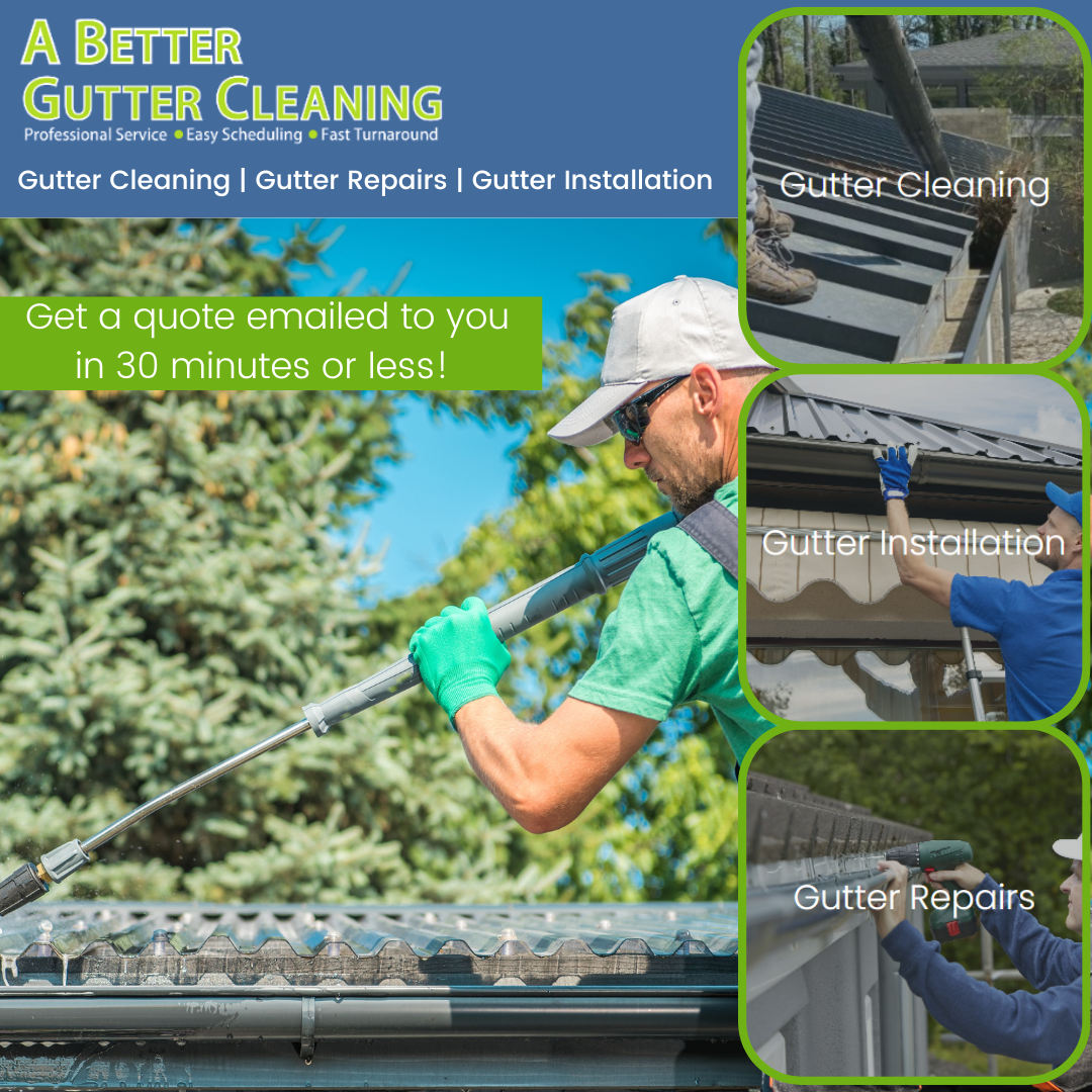 Gutter Cleaning at the Click of a Button