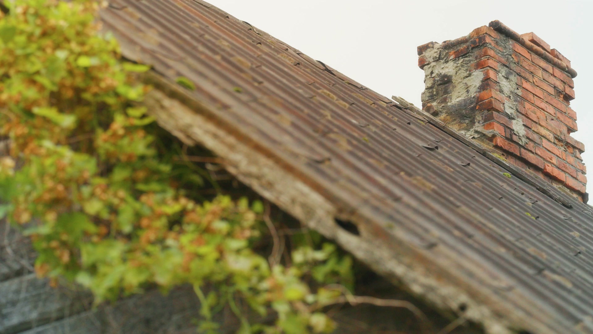 Guaranteed Roof Roofing ad creative