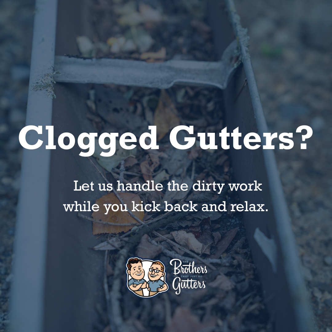 Get a Free Quote Today