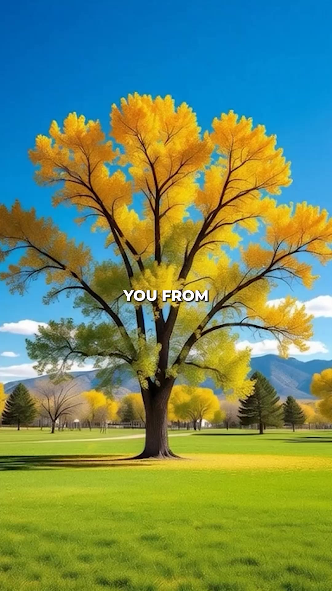 Boost your curb appeal.mp4