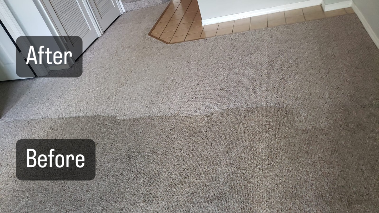 All Clean Carpet & Upholstery, Inc Carpet Cleaning ad creative