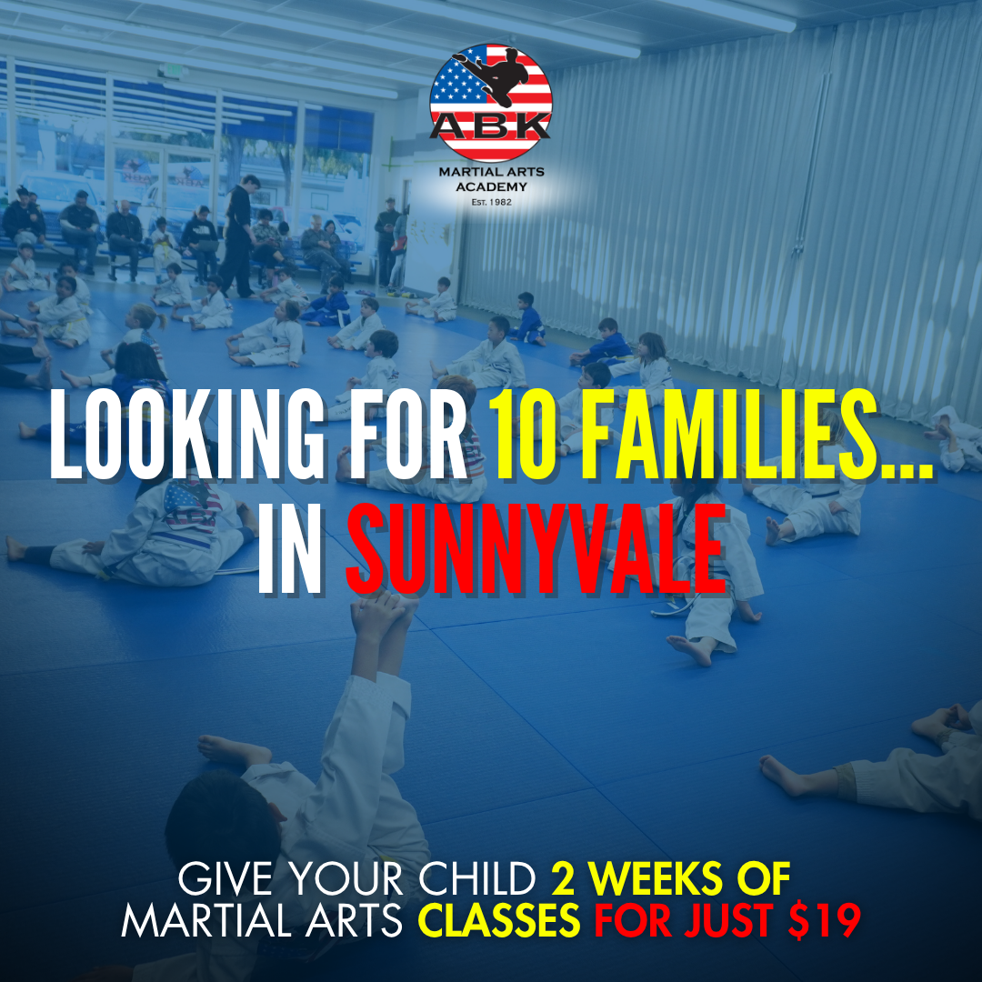 👉 2 Weeks of Martial Arts Classes for $19
