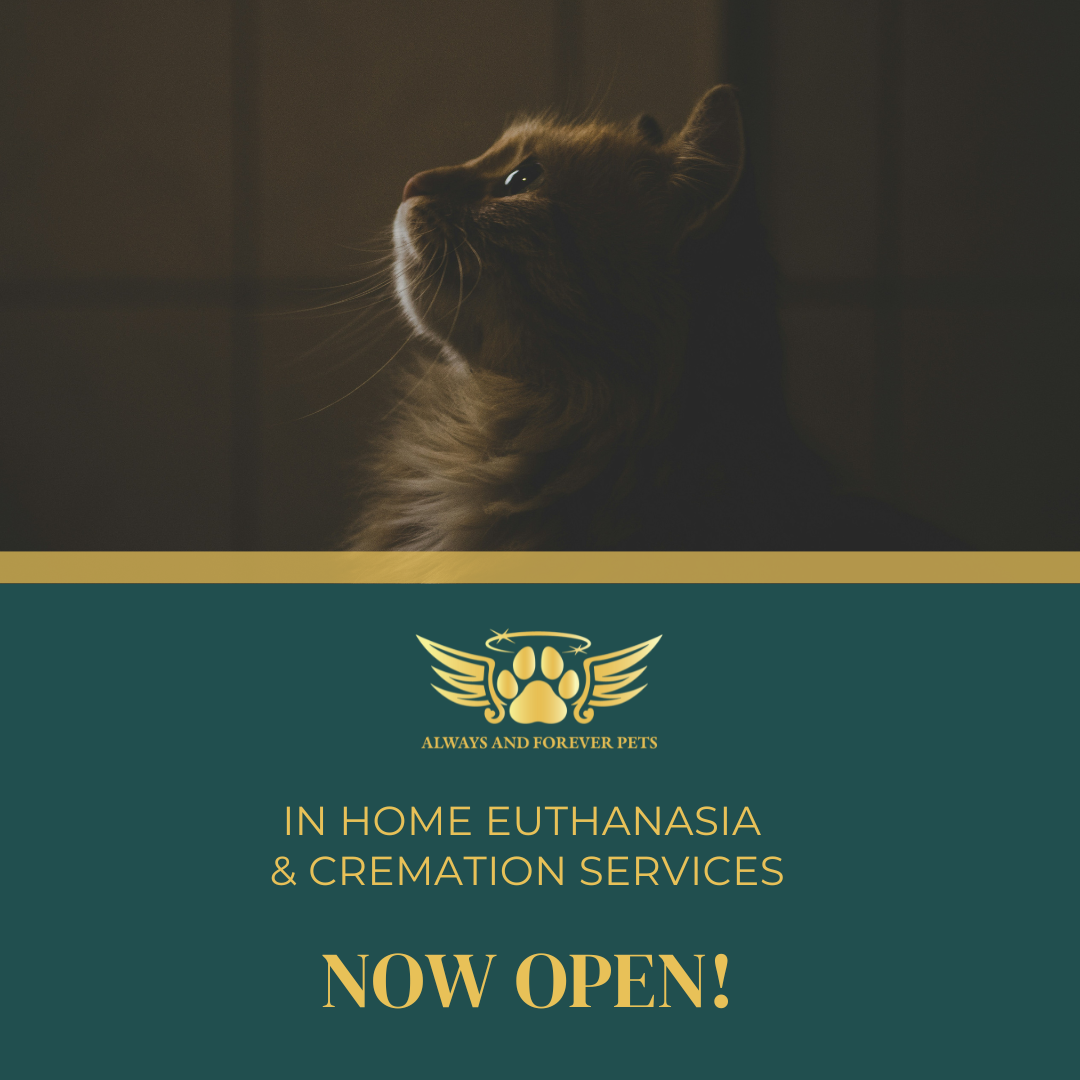 Servicing New Braunfels & surrounding cities