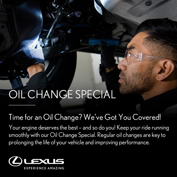 Your Local Automotive Dealer