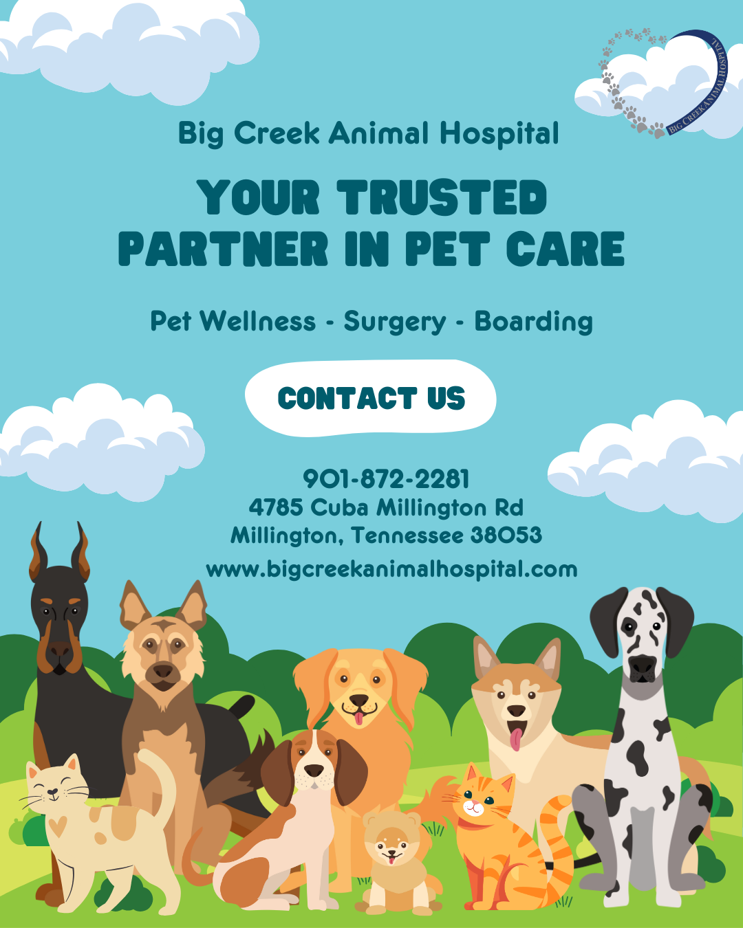 Big Creek Animal Hospital
