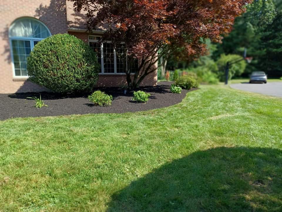 Rodriguez & Son Landscaping Landscaping ad creative