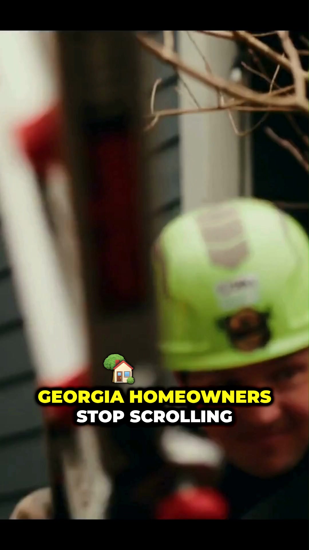 Expert Tree Trimming Starting at $799