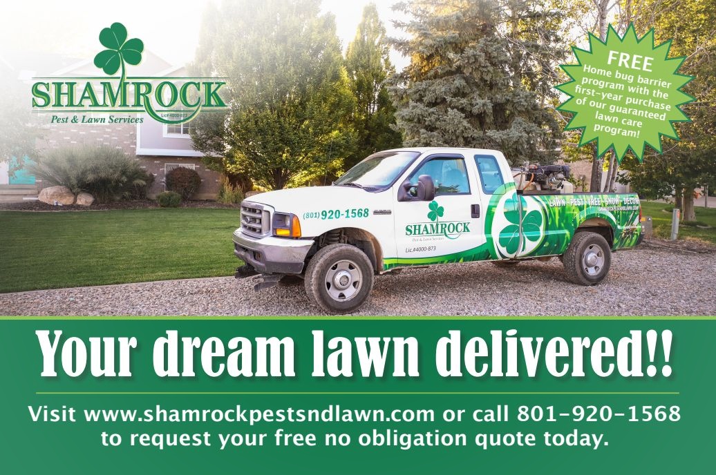 Shamrock Pest and Lawn Pest Control ad creative