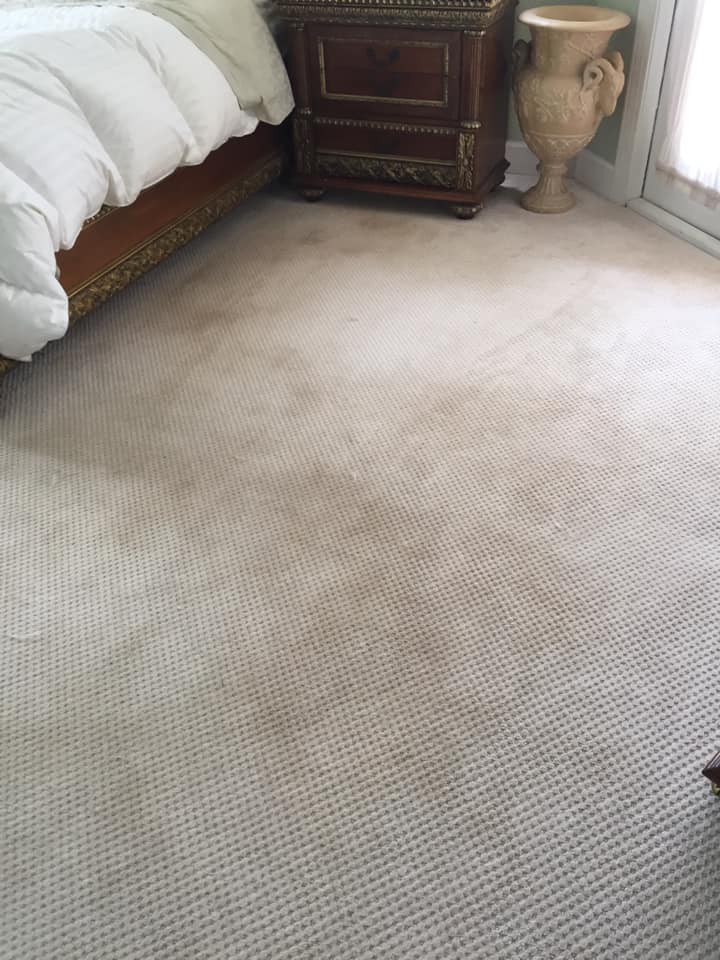 Steamworks Carpet Cleaning Carpet Cleaning ad