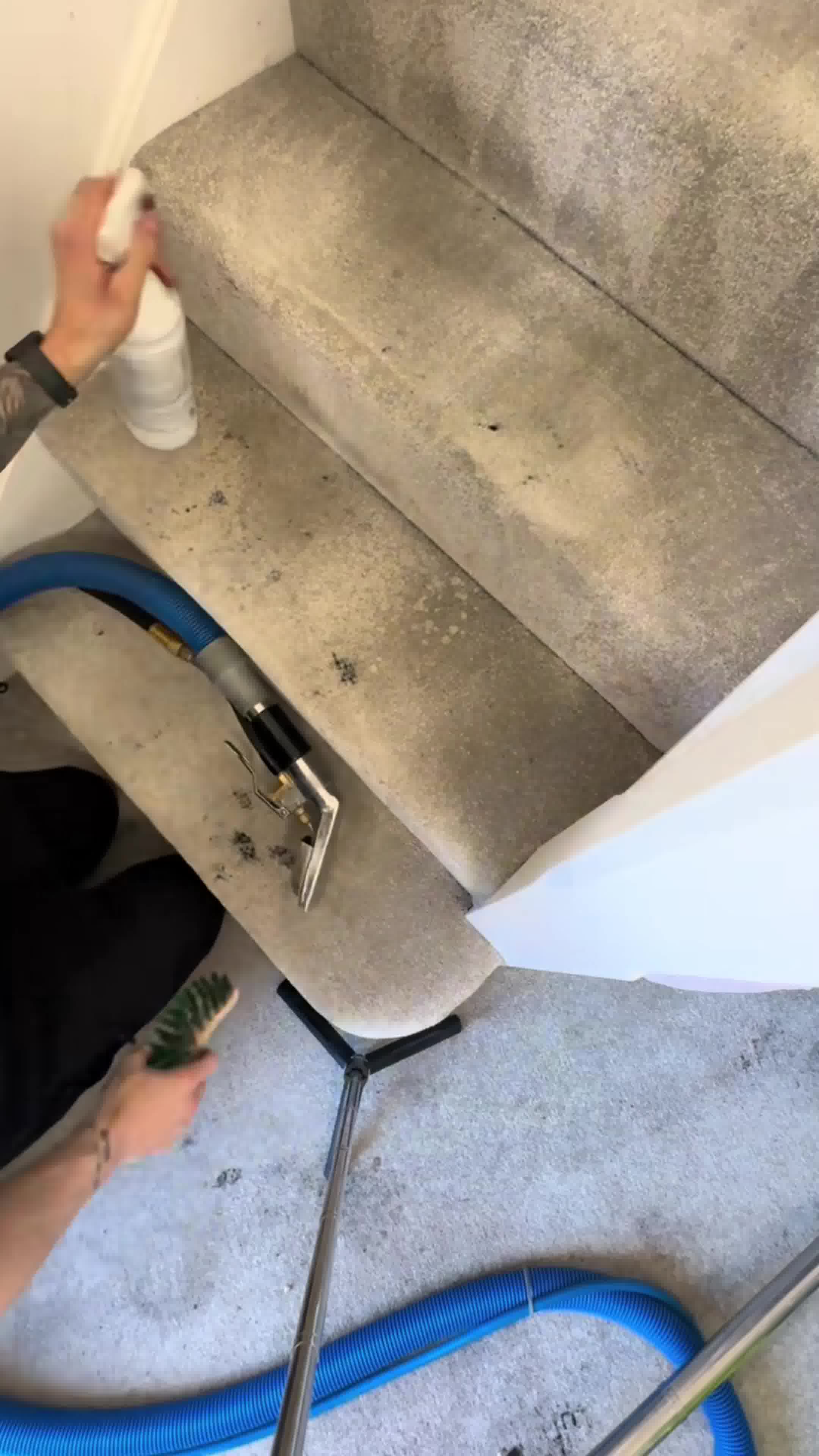 Five Stars Cleaning Carpet Cleaning ad creative