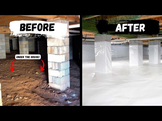 Peak Performance Restoration Water Damage Restoration ad creative