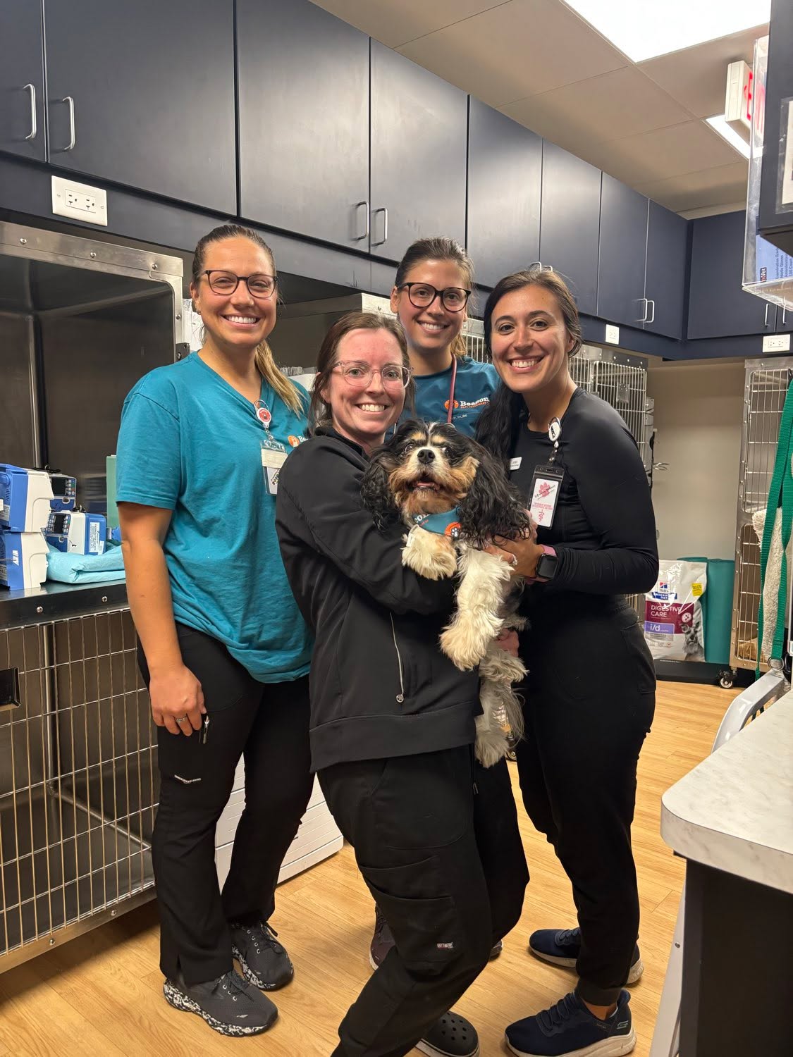 Beacon Emergency Veterinary Hospital Veterinarian ad creative