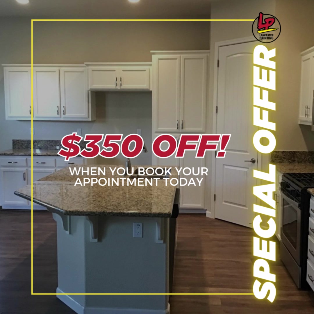 Lancaster Painting Painter ad creative