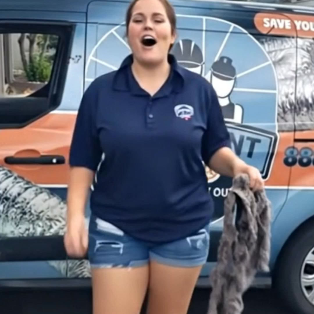 Dryer Vent Cleaning + FREE Estimate